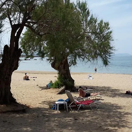 Дом отдыха City And Beach
